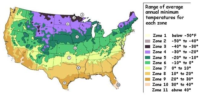 Hardiness Zones | Bamboo Plants HQ