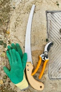 hand gloves, saw and hand pruners