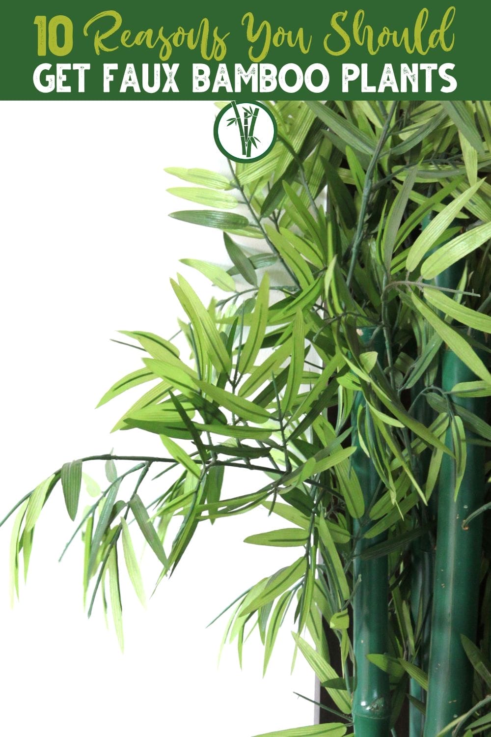 10 Reasons You Should Get Fake Bamboo Plants | Bamboo Plants HQ