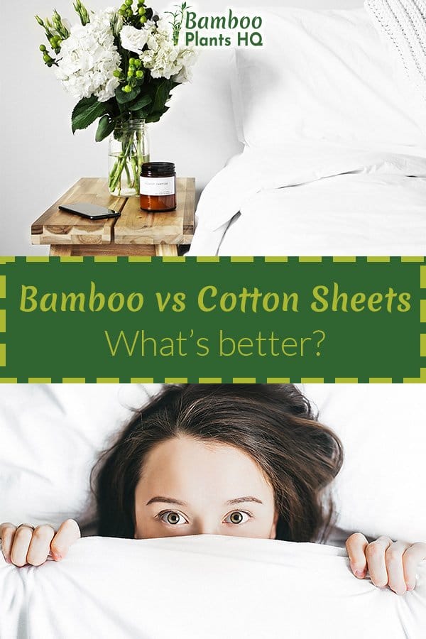 Bamboo vs Cotton Sheets - What's better?