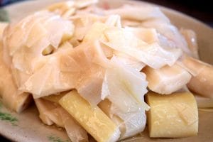 Cooked, edible bamboo shoots on a plate