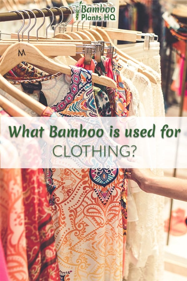Clothes on hangers in a store with the text: What bamboo is used for clothing?