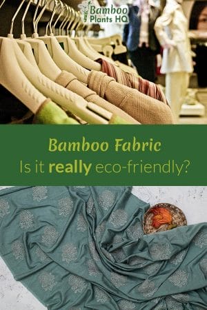 Everyone is talking about bamboo fabric for eco-fashion. Is it really as environmentally friendly as advertised? We took a closer look: Learn about the results here! #bamboo #ecofashion #ecofriendly #greenfashion