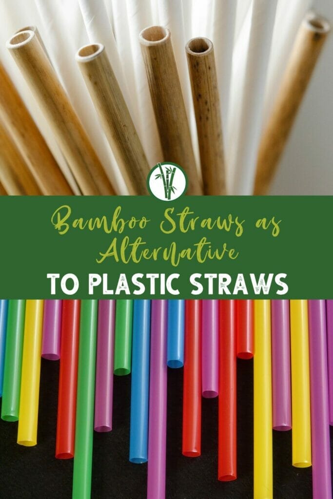 Top image is bamboo and paper straws and bottom image is colored plastic straws with the text Bamboo Straws as Alternative to Plastic Straws