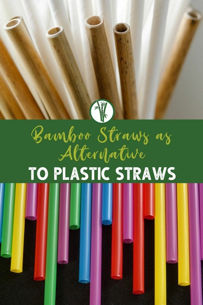 Top image is bamboo and paper straws and bottom image is colored plastic straws with the text Bamboo Straws as Alternative to Plastic Straws