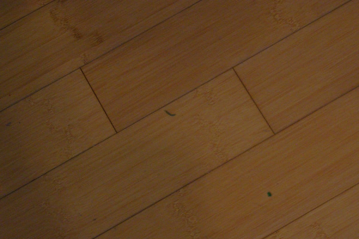 Natural bamboo flooring
