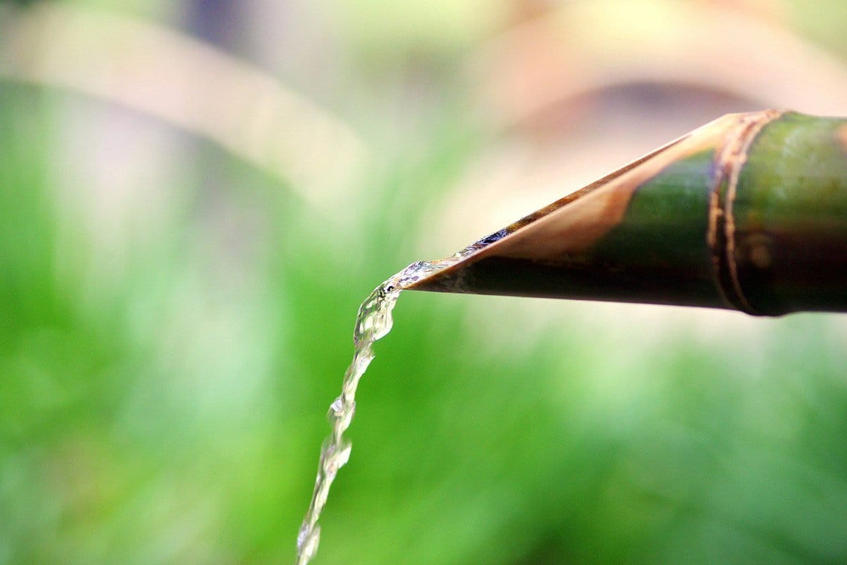 Water running out of a bamboo stem