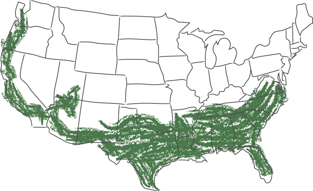USDA Zones 7 to 10 highlighted in green on a USA map