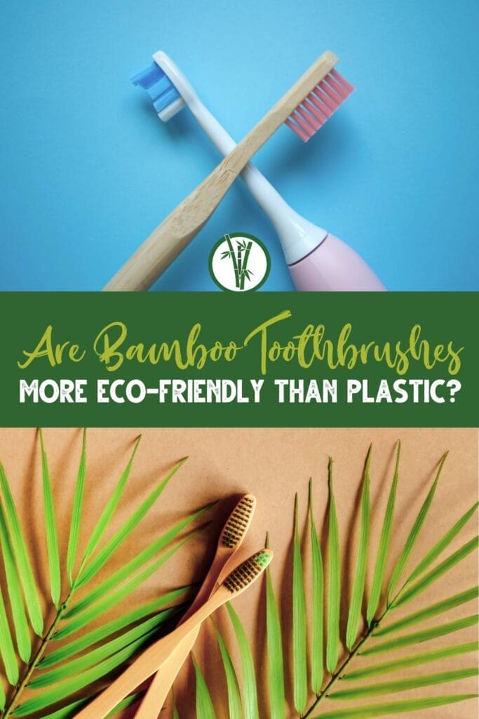 Image comparison of a plastic toothbrush and a bamboo toothbrush with a text in the middle: Are Bamboo Toothbrushes More Eco-Friendly Than Plastic?