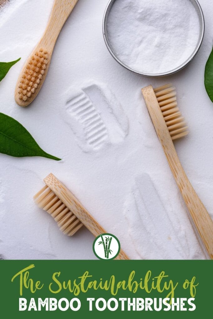 Three bamboo toothbrushes on a white powder with a text below: The Sustainability of Bamboo Toothbrushes
