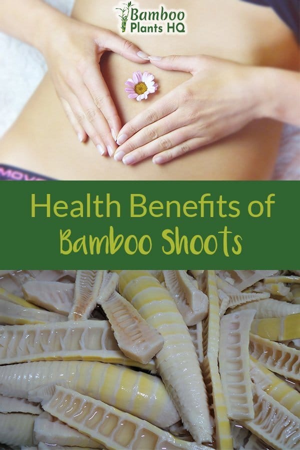 Hands on belly and bamboo shoots with the text: Health Benefits of Bamboo Shoots