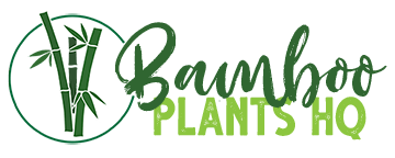 Bamboo Plants HQ Bamboo Plants HQ