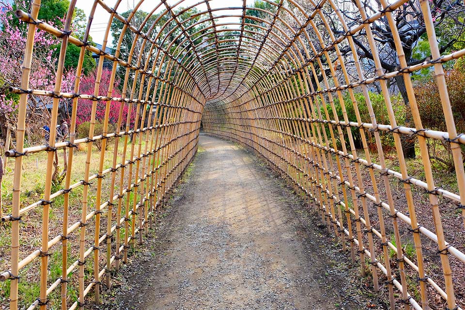 See-through tunnel made with dried bamboo stems