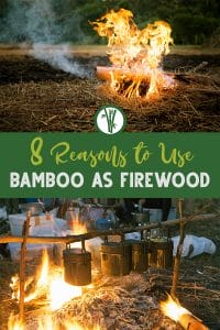 Bamboo culm burning on top and a campfire fueled with bamboo used to heat up some meals on the bottom with the text in the middle: 8 reasons to use bamboo as firewood