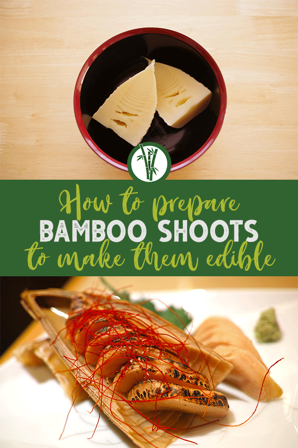 Prepared bamboo shoots with the text: How to Prepare Bamboo Shoots to make them edible