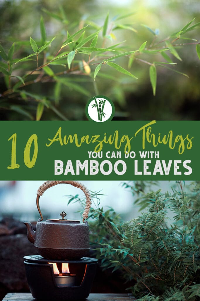 Bamboo leaves and a tea pot on a camping stove with the text: 10 amazing things you can do with bamboo leaves