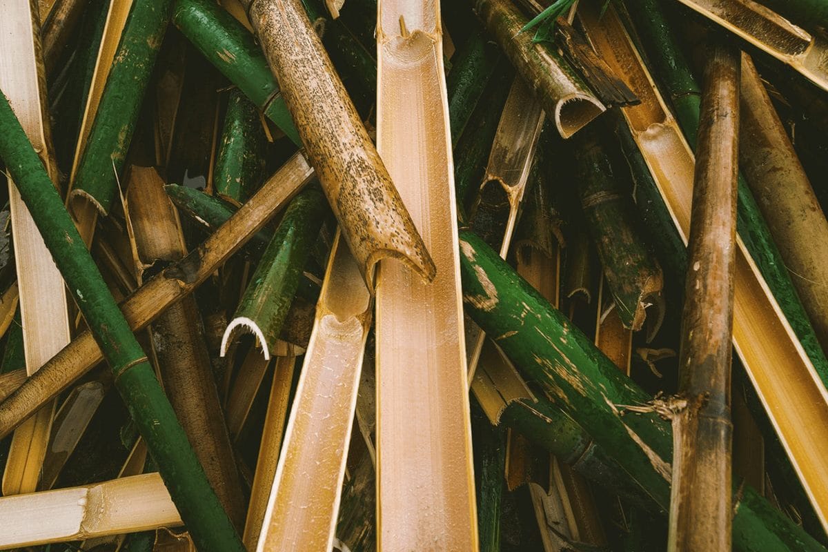 Wood bamboo