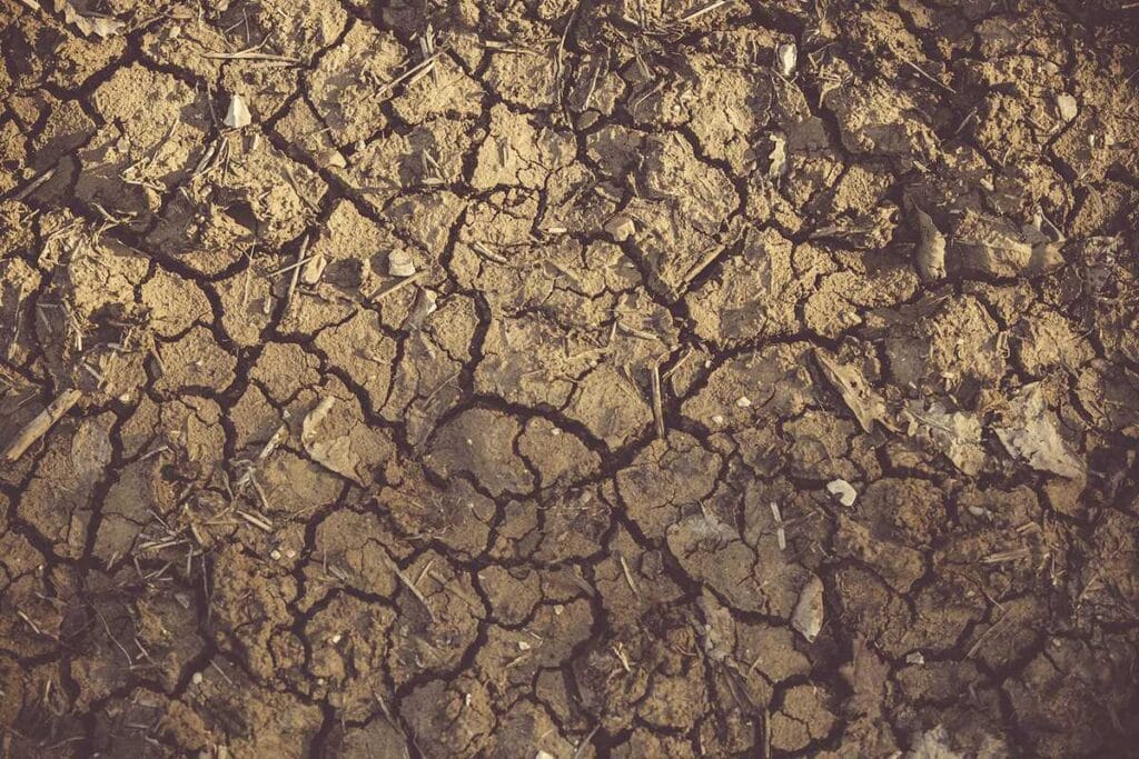 Cracked brown clay soil