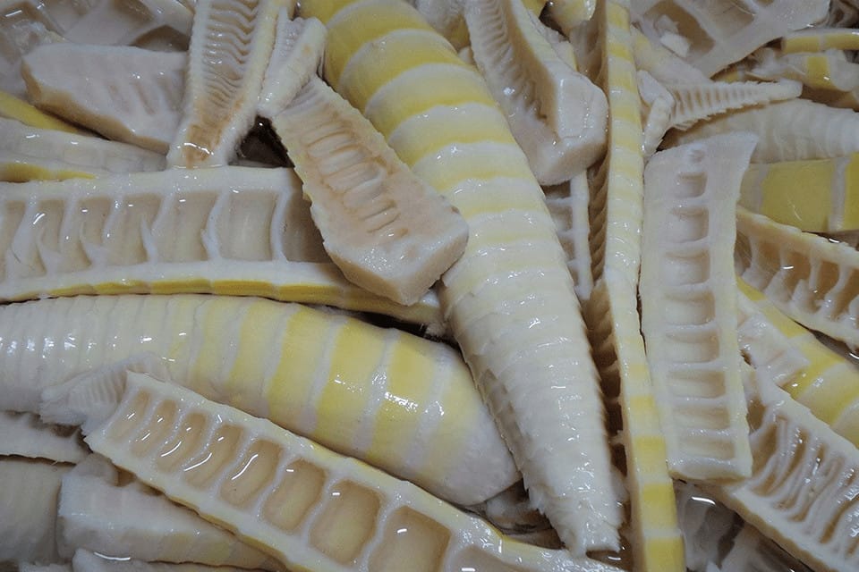 Plenty of half bamboo shoots after boiling for safe consumption