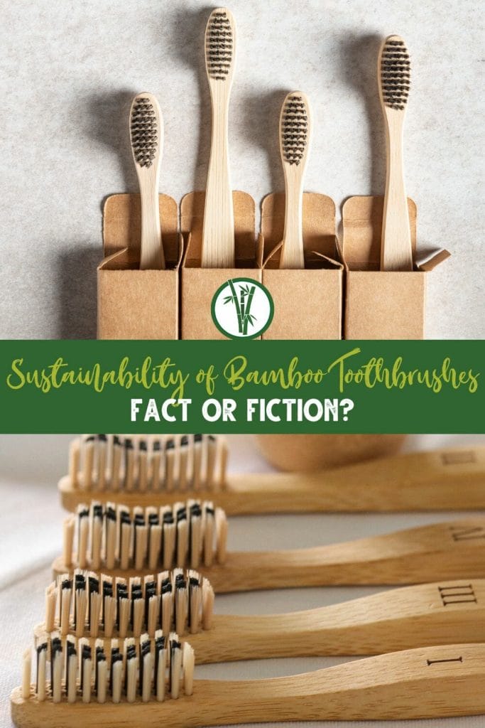 set of toothbrush made of bamboo with a text in the middle: Sustainability of Bamboo Toothbrushes: Fact or Fiction?