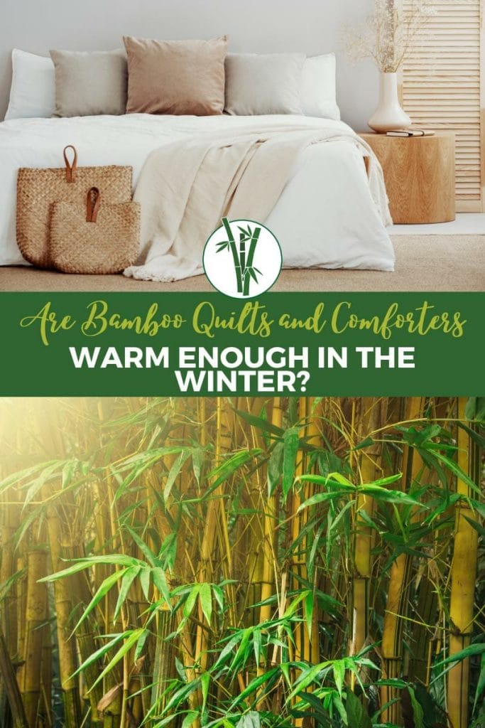 Bamboo bedding and bamboo plants with text: Are bamboo quilts and comforters warm enough in the winter?