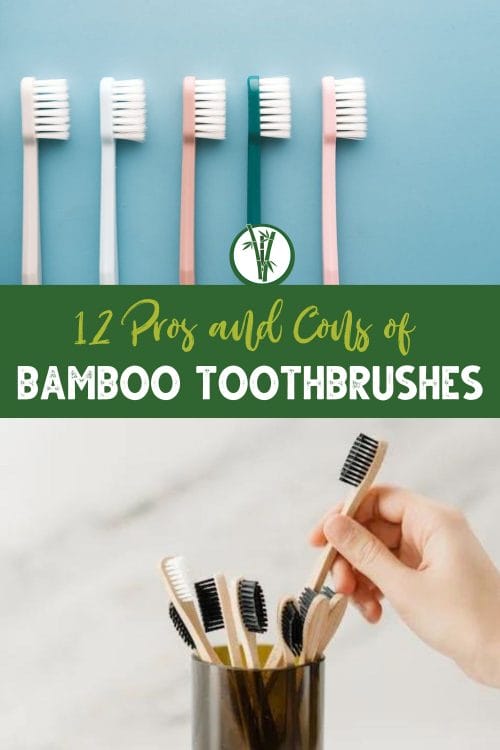 Top image is a set of plastic toothbrushes and bottom image is a set of bamboo toothbrushes placed in a glass with the text: 12 Pros and Cons of Bamboo Toothbrushes.