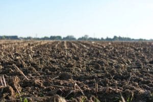 Eye-level photo of cultivated alkaline soil on a big farm land