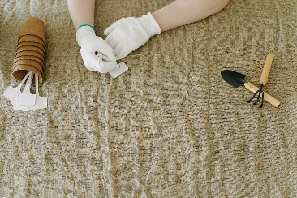 A person in white gloves writing on bamboo plant stakes use to track a bamboo's age.