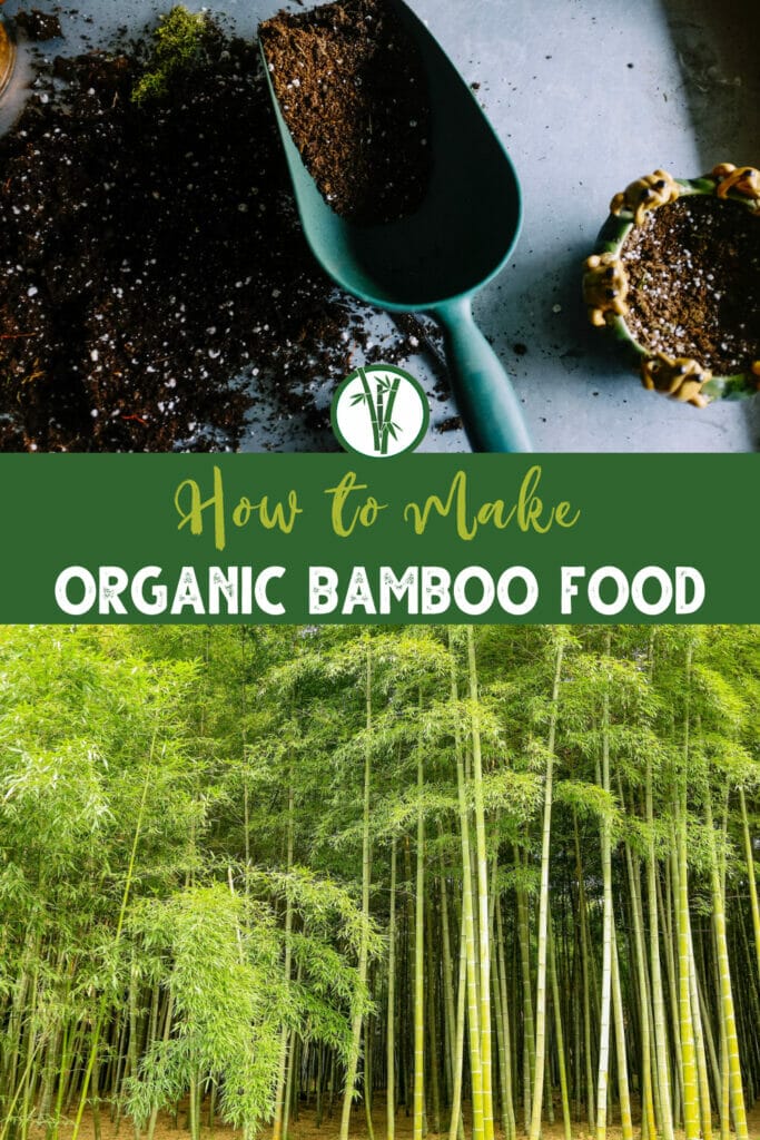 Bamboo Plant Food What's The Best Fertilizer?