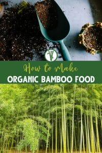 Top image is organic bamboo food and bottom image is a forest of bamboo trees grown with organic fertilizer with the text How to Make Organic Bamboo Food.