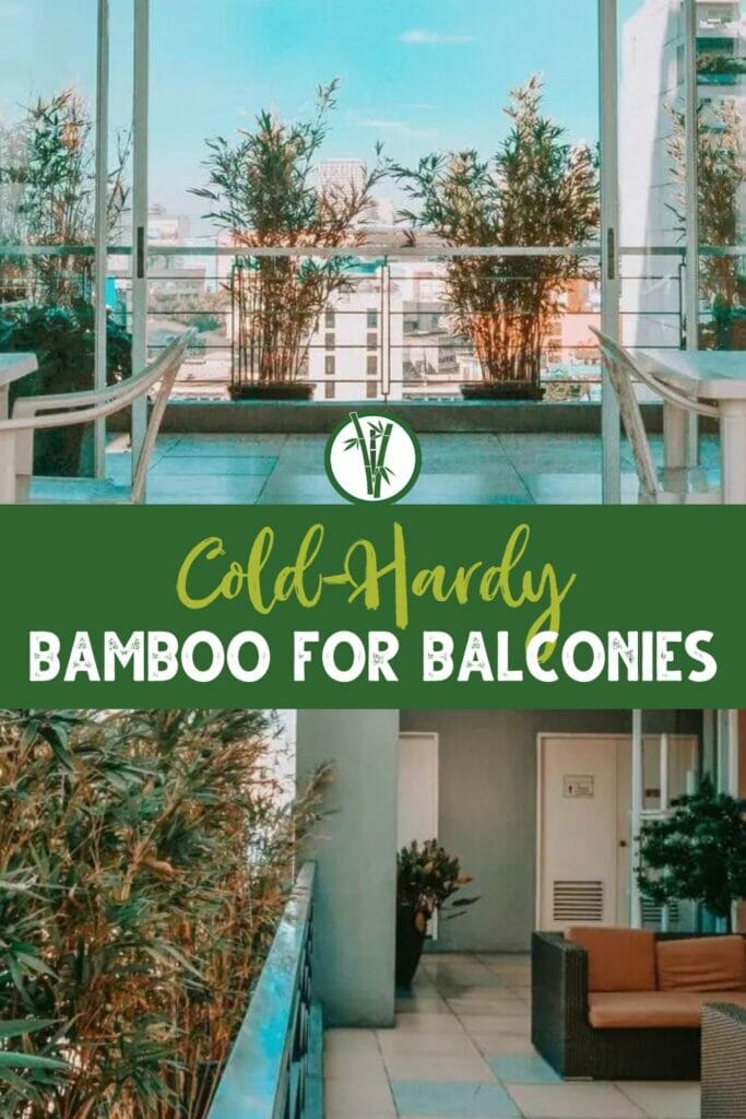 Bamboo plants placed at the balconies with a text in the middle: Cold-Hardy Bamboo for Balconies