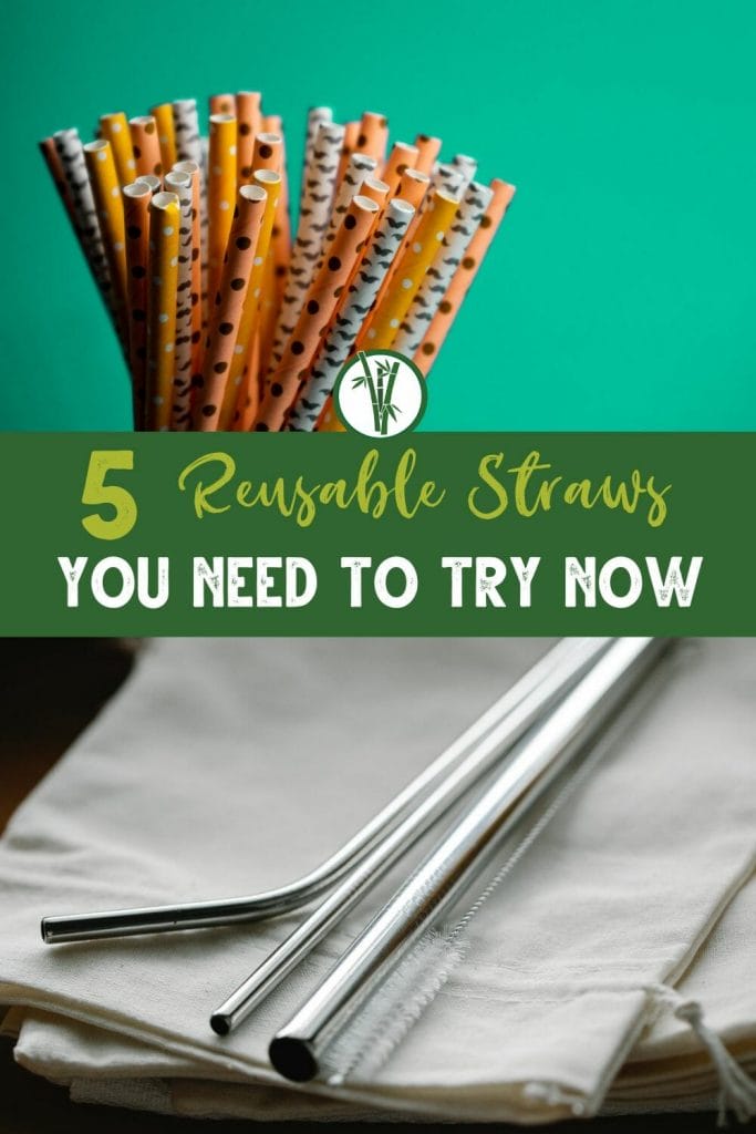 Top image is colorful paper straws and bottom image is stainless steel straws with the text 5 reusable straws you need to try now