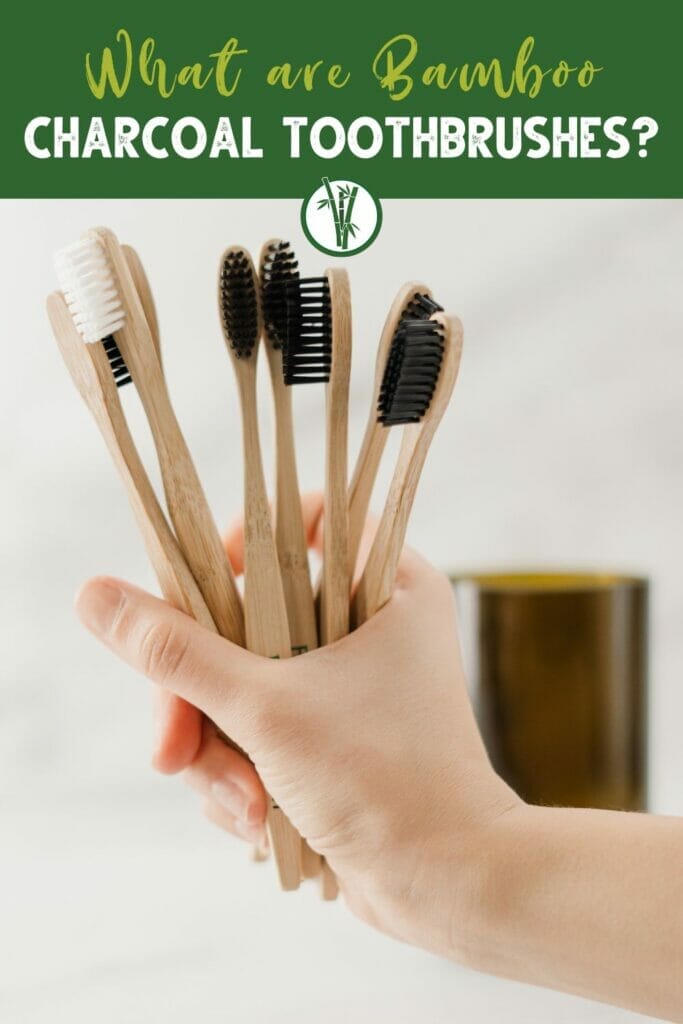 A person holding bamboo charcoal toothbrushes with the text What are bamboo charcoal toothbrushes?