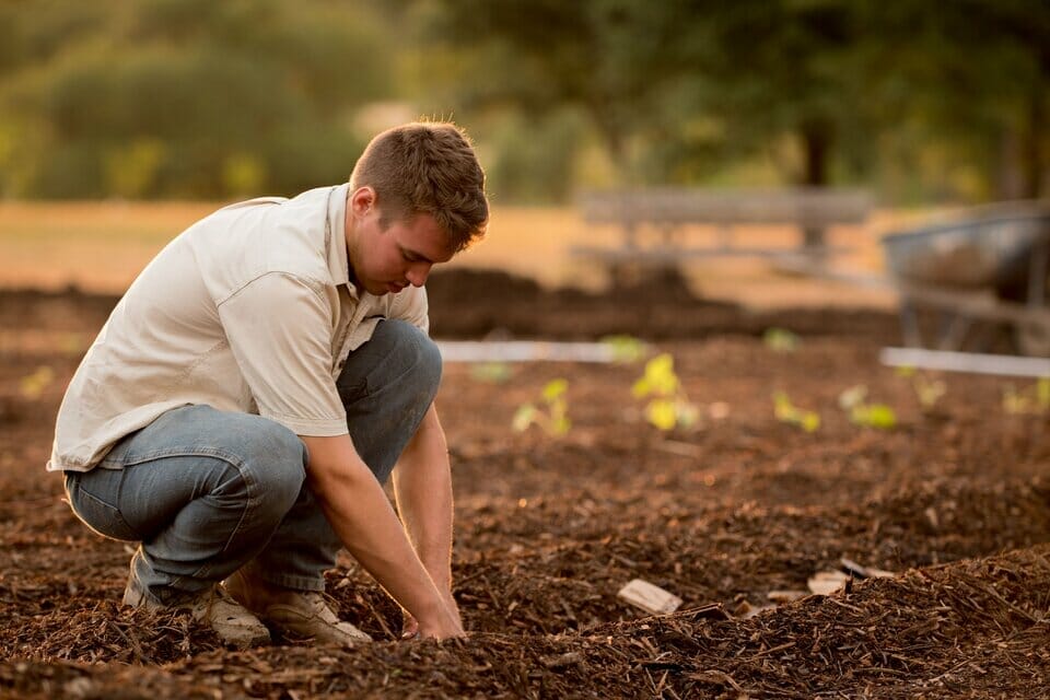 Man planting in soil in a garden
