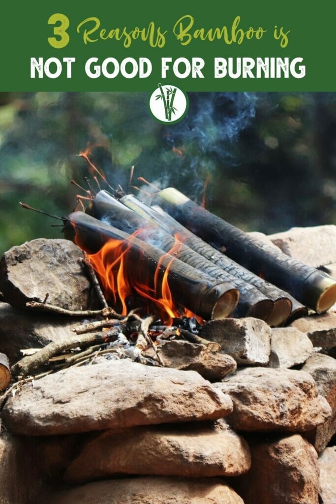 Bamboo used as firewood with the text 3 reasons bamboo is not good for burning