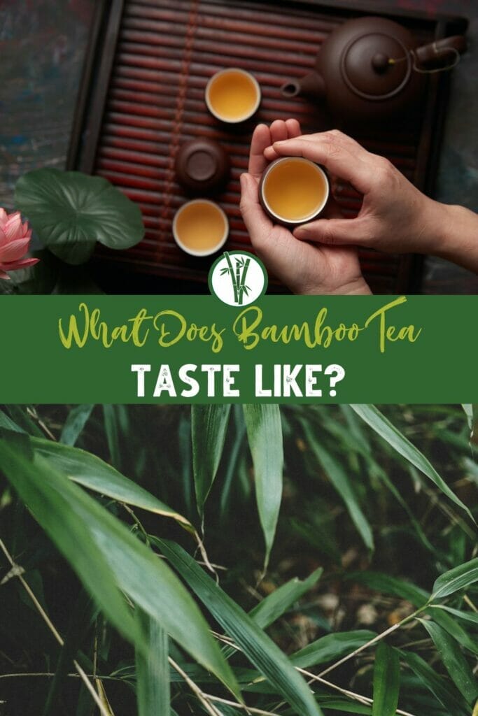 Top image is bamboo tea and bottom image is bamboo leaves with the text What does bamboo tea taste like?