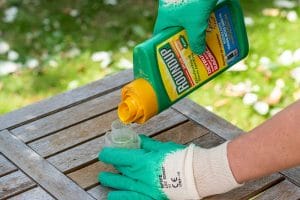 Person with garden gloves filling Roundup into measuring cup to kill bamboo