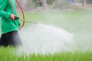 Person spraying weed killer over plants