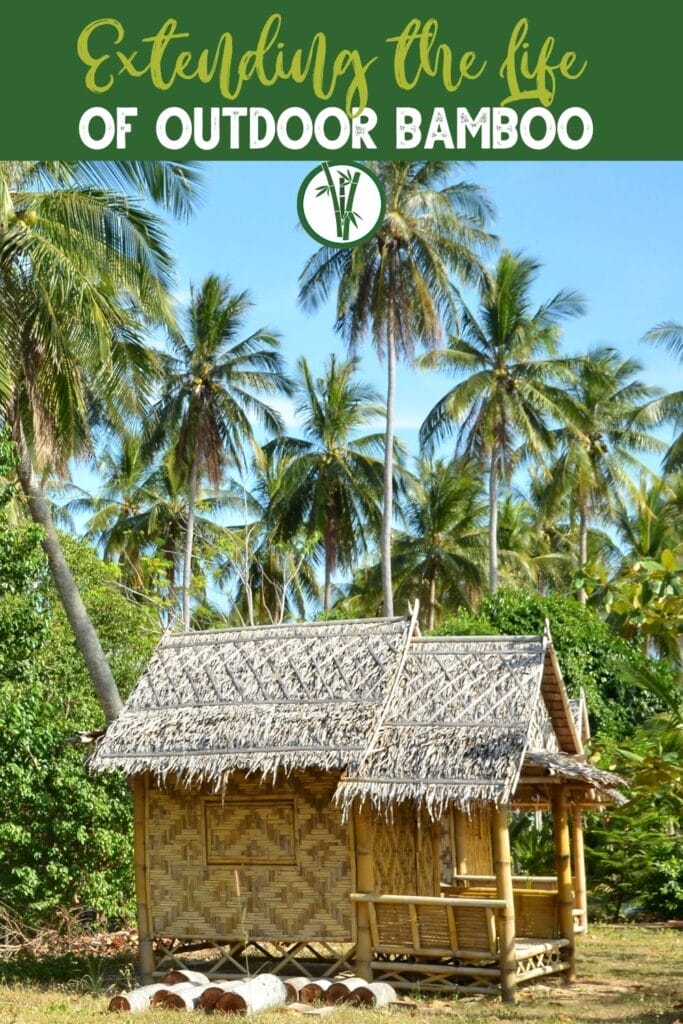 A bamboo hut in the middle of a field with palm trees in the background with a text above: Extending the Life of Outdoor Bamboo