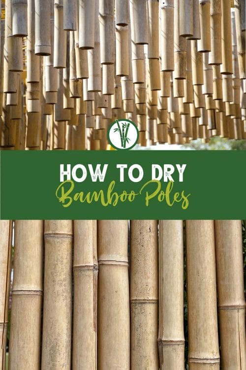Drying bamboo stems hanging and standing with the text: How To Dry Bamboo Poles