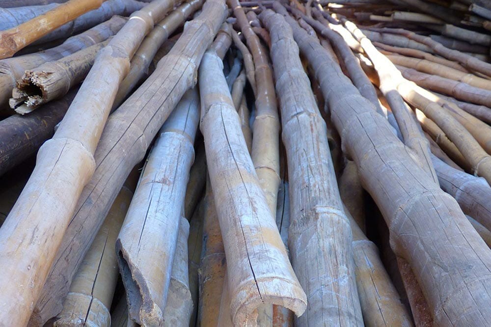 Splitting, uneven and dry bamboo poles that aren't dried properly