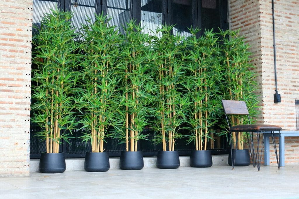 Decorative display of artificial bamboo plants used outdoors, showcasing the versatility and beauty of using artificial bamboo outdoors.