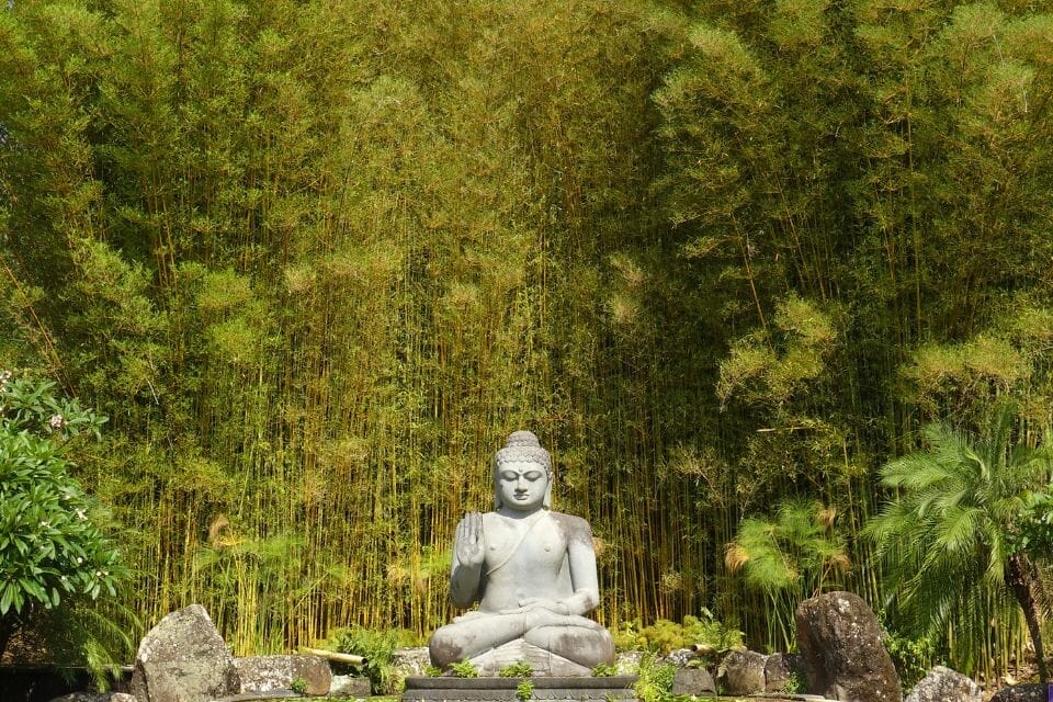 A zen garden features a buddha statue amidst rocks and bamboo plants