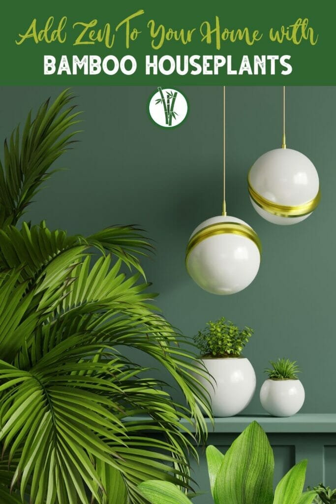 green-walled room with different houseplants and a white-gold ceiling hanging glass ball lamp with a text above: Add Zen To Your Home With Bamboo Houseplants