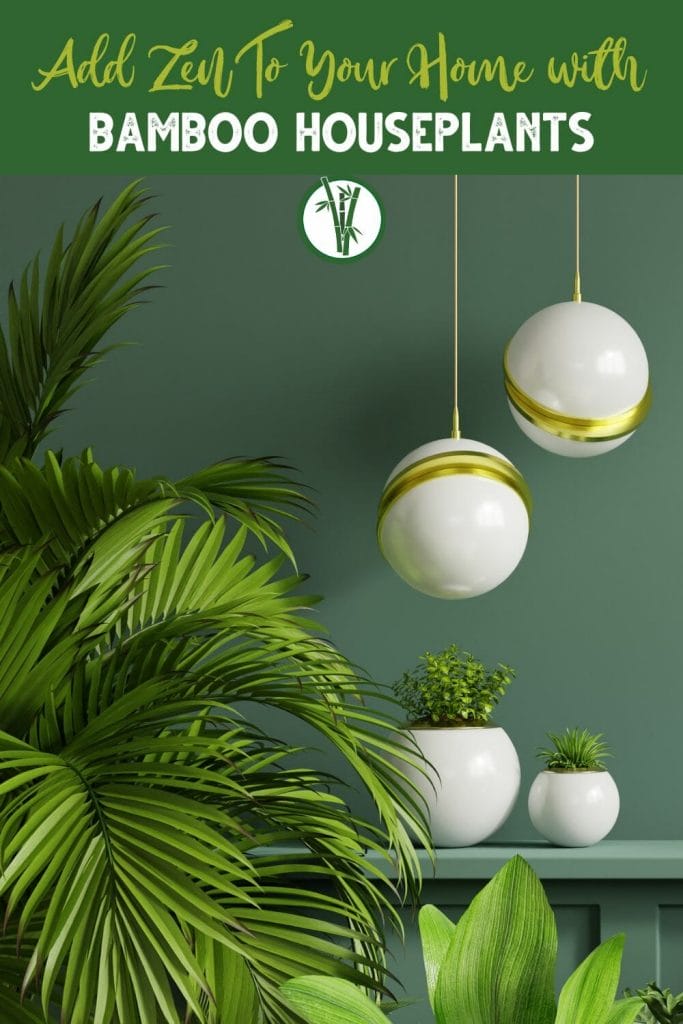 green-walled room with different houseplants and a white-gold ceiling hanging glass ball lamp with a text above: Add Zen To Your Home With Bamboo Houseplants