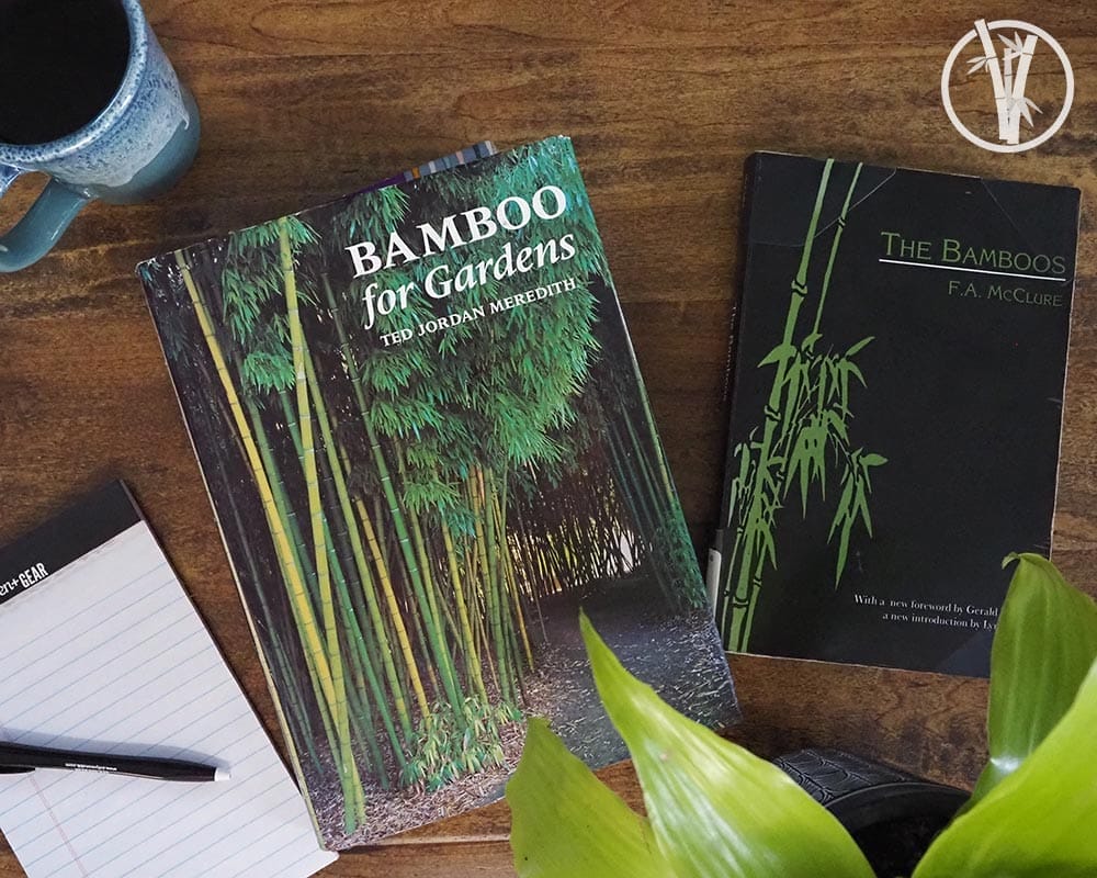 Books about bamboo plants and bamboo anatomy next to a plant, coffee, and note pad